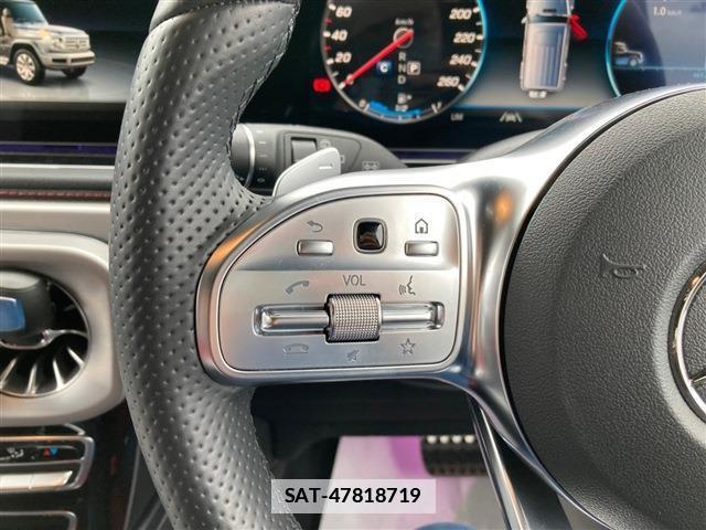Mercedes Benz G-CLASS 2021-12 7794610-18