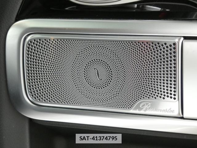 Mercedes Benz G-CLASS 2022-04 7798484-13