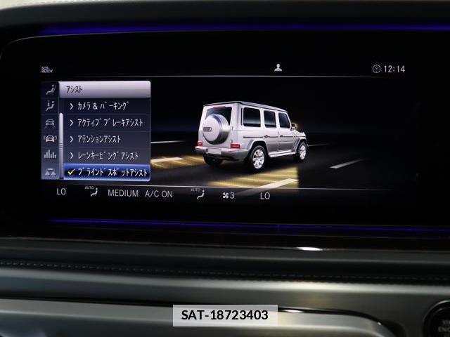Mercedes Benz G-CLASS 2021-03 7805450-12