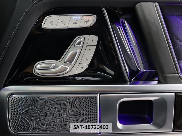 Mercedes Benz G-CLASS 2021-03 7805450-16