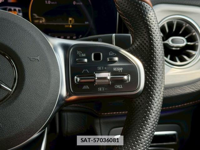 Mercedes Benz G-CLASS 2021-06 7806192-13