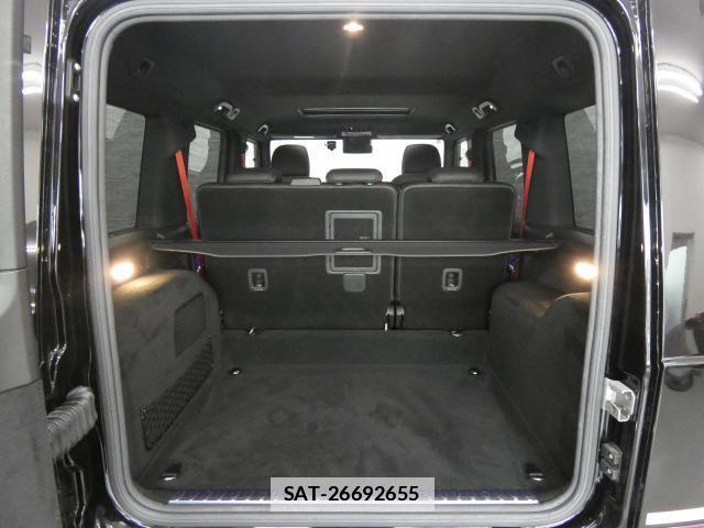 Mercedes Benz G-CLASS 2021-01 7809764-10