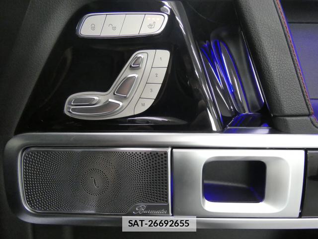 Mercedes Benz G-CLASS 2021-01 7809764-14