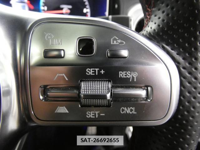 Mercedes Benz G-CLASS 2021-01 7809764-15