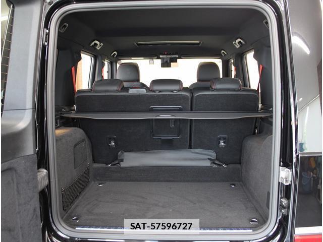 Mercedes Benz G-CLASS 2021-09 7811288-19