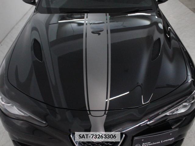ALFA ROMEO Giulia 2021-03 7802535-14