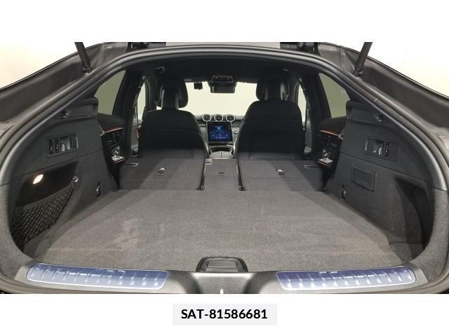 Mercedes Benz GLC-CLASS 2025-06 7795256-18