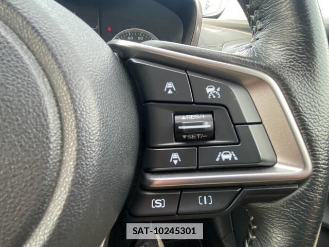 Subaru IMPREZA SPORTS 2017-02 7800344-12