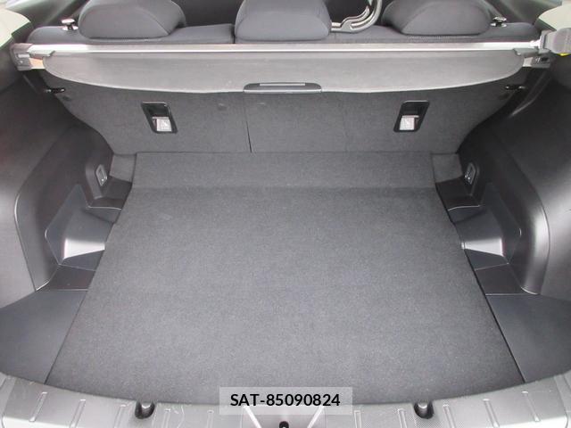 Subaru IMPREZA SPORTS 2017-11 7806974-17