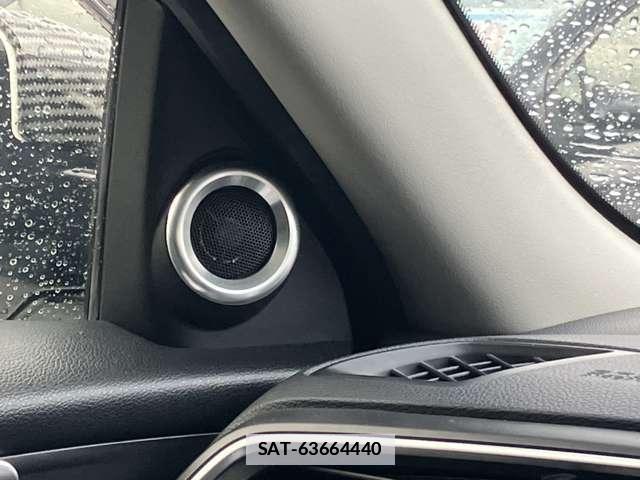Honda INSIGHT 2019-07 7795726-16