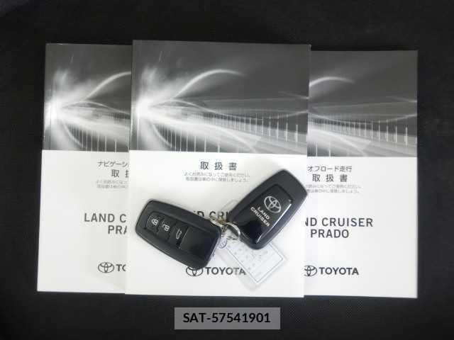 Toyota LAND CRUISER PRADO 2023-11 7810782-19