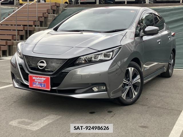 Nissan LEAF 2021-08 7793712-0