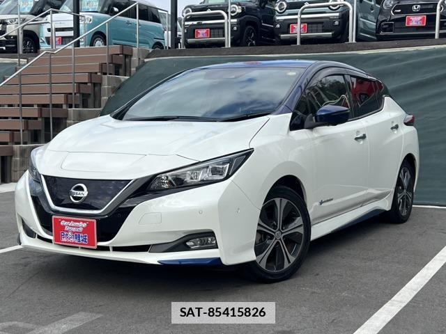 Nissan LEAF 2018-02 7793738-0