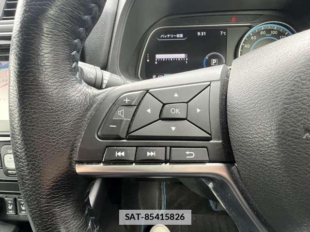 Nissan LEAF 2018-02 7793738-8
