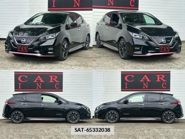 Nissan LEAF 2019-01 7800049-8