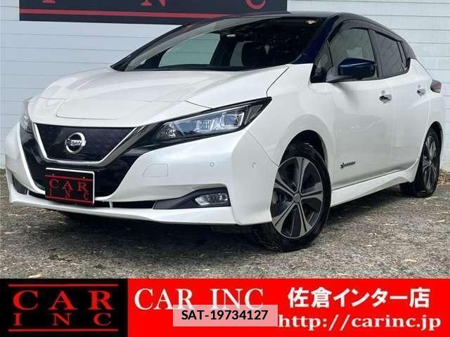 Nissan LEAF 2018-06 7800079-0