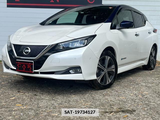 Nissan LEAF 2018-06 7800079-1