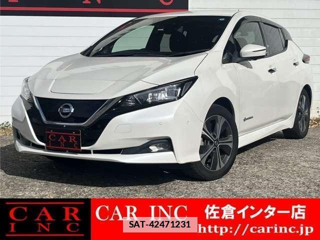 Nissan LEAF 2020-01 7800084-0
