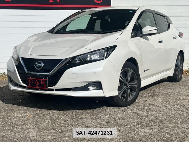 Nissan LEAF 2020-01 7800084-1
