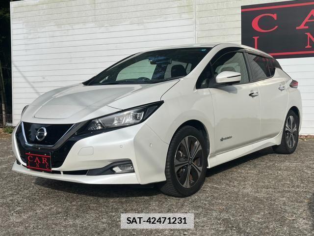 Nissan LEAF 2020-01 7800084-10