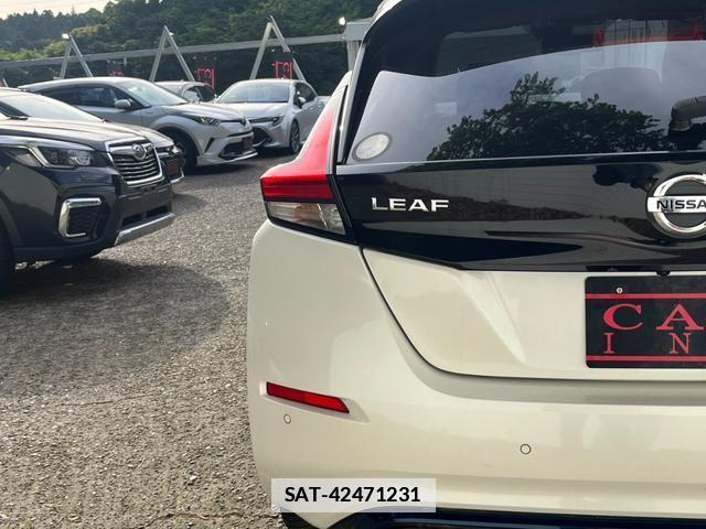 Nissan LEAF 2020-01 7800084-13