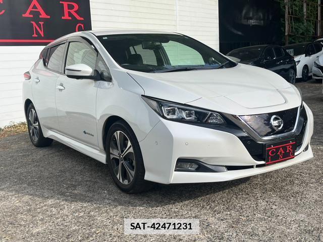 Nissan LEAF 2020-01 7800084-4