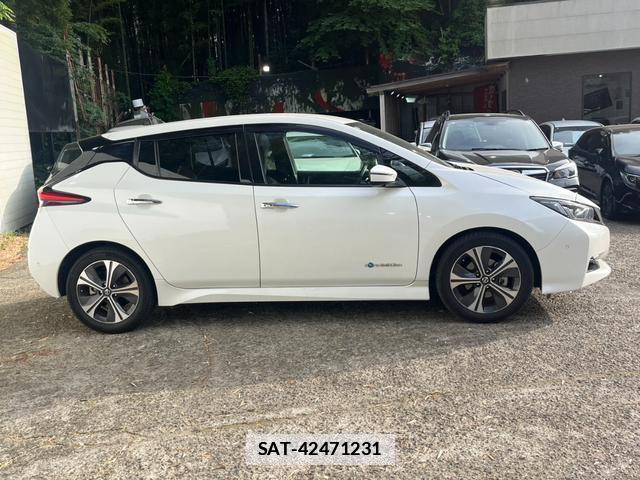 Nissan LEAF 2020-01 7800084-5