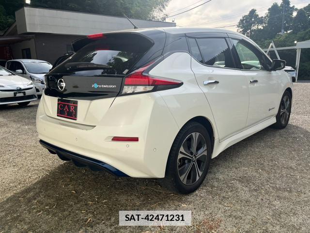 Nissan LEAF 2020-01 7800084-6
