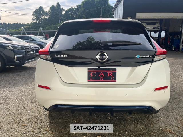 Nissan LEAF 2020-01 7800084-7