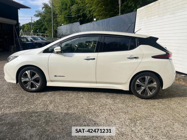 Nissan LEAF 2020-01 7800084-9