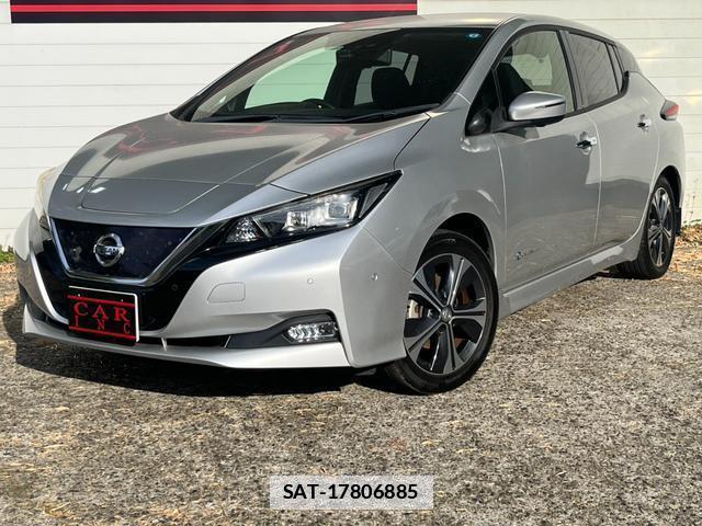 Nissan LEAF 2018-01 7800088-1