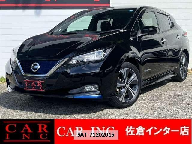 Nissan LEAF 2020-01 7800089-0