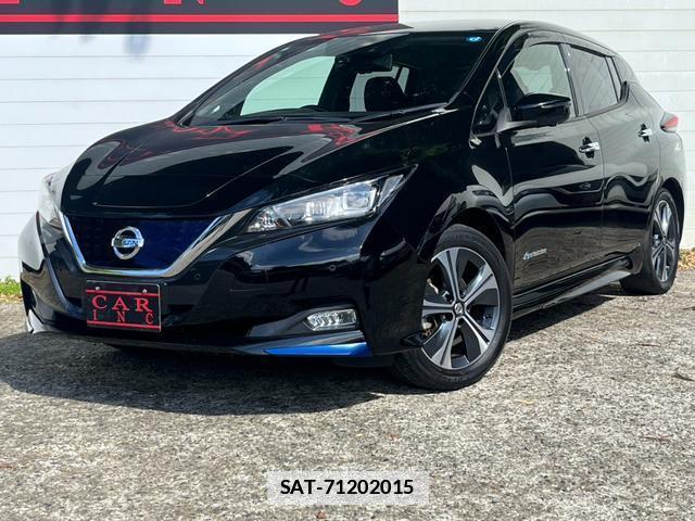 Nissan LEAF 2020-01 7800089-1