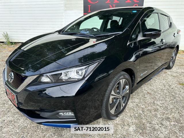 Nissan LEAF 2020-01 7800089-16