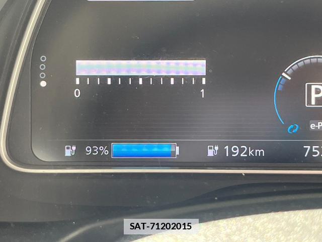 Nissan LEAF 2020-01 7800089-2