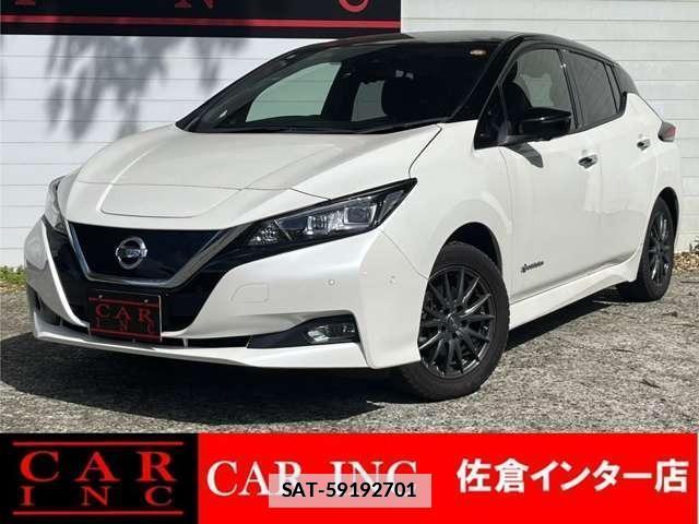 Nissan LEAF 2019-08 7800090-0