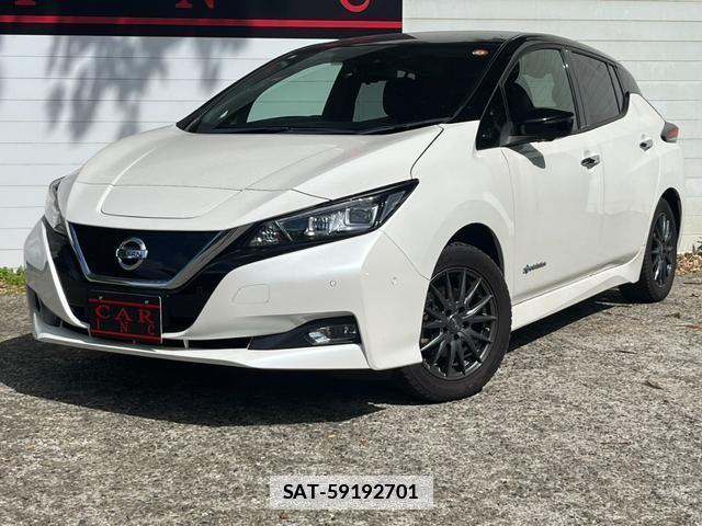 Nissan LEAF 2019-08 7800090-1