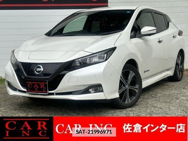 Nissan LEAF 2018-02 7800095-0