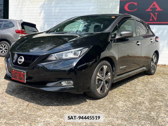Nissan LEAF 2018-03 7800100-10