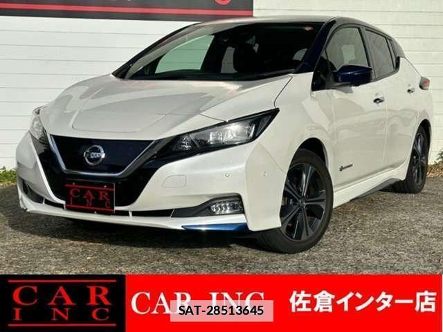 Nissan LEAF 2018-06 7800101-0