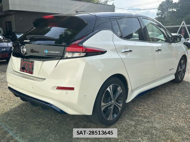 Nissan LEAF 2018-06 7800101-5
