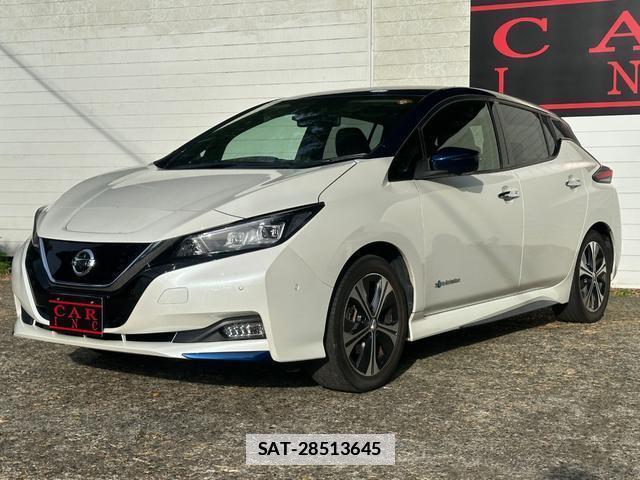 Nissan LEAF 2018-06 7800101-9