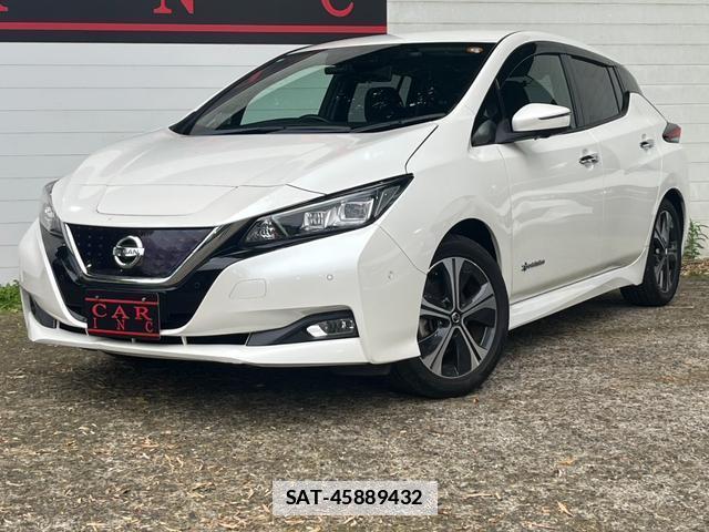 Nissan LEAF 2019-05 7800103-1