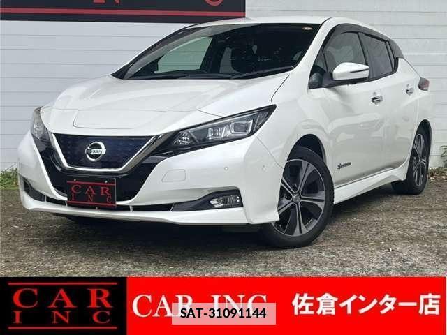 Nissan LEAF 2018-02 7800104-0