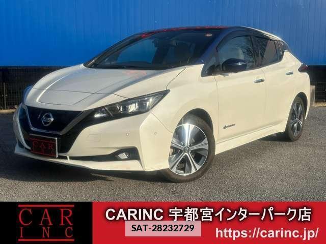 Nissan LEAF 2020-02 7803479-0