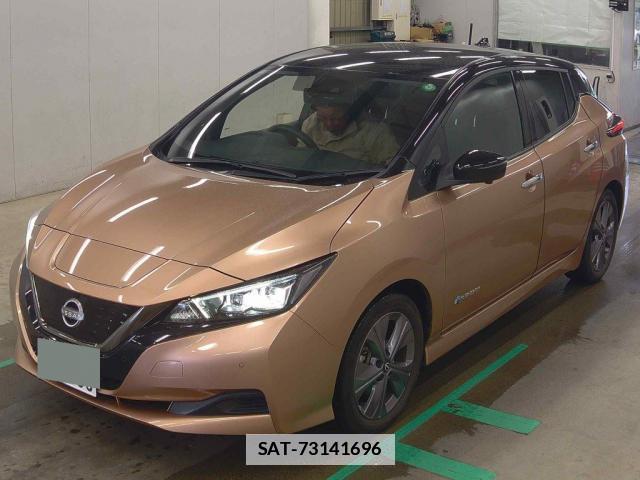 Nissan LEAF 2021-10 7805743-0