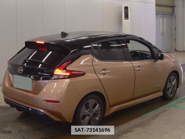 Nissan LEAF 2021-10 7805743-1