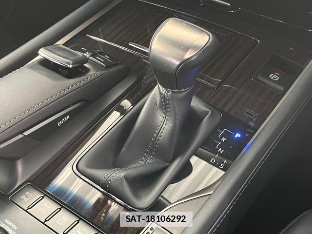 Lexus LX 2019-02 7801929-17