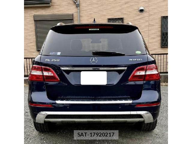 Mercedes Benz M-CLASS 2015-06 7794868-1
