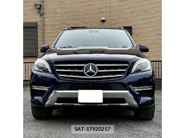 Mercedes Benz M-CLASS 2015-06 7794868-9